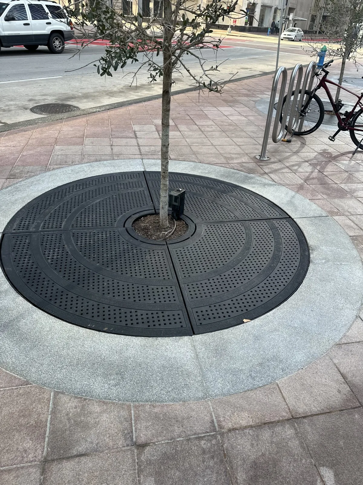 Custom steel tree grate fabricated and installed on a city sidewalk